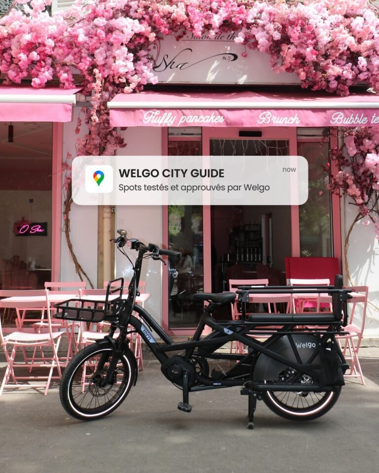 Instagram post from welgo_bike. This post is in position 2.
