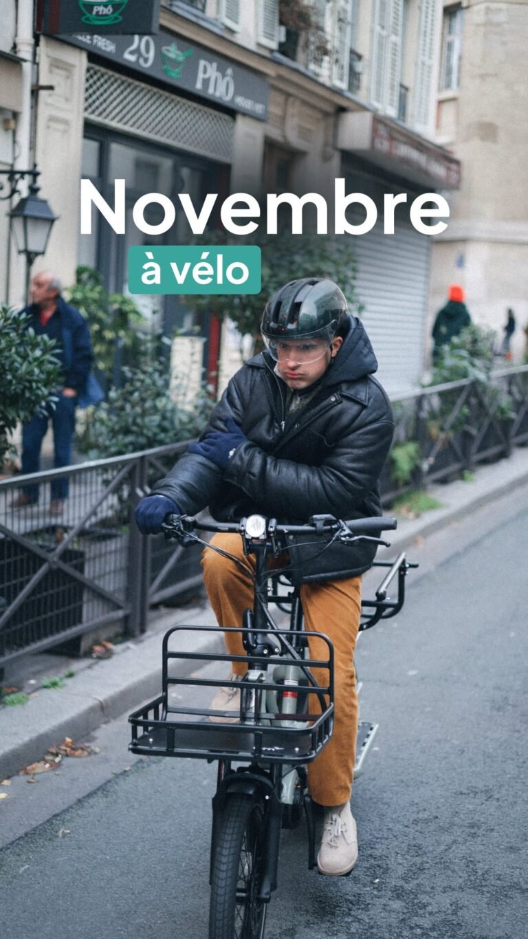 Instagram post from welgo_bike. This post is in position 3.