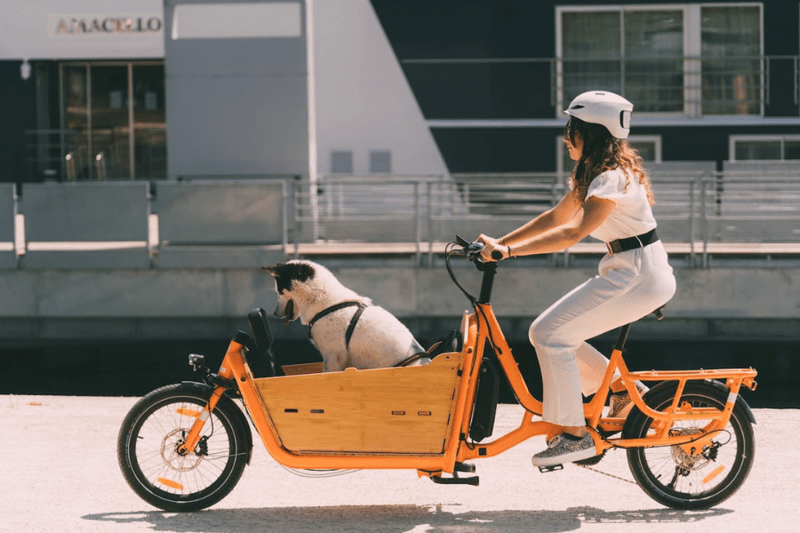 Vélo cargo chien