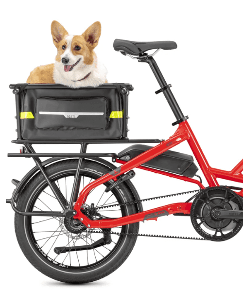 Vélo cargo Tern HSD transport chien