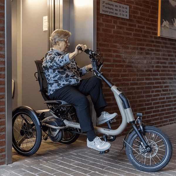 Adult Senior Electric Tricycle Rental Leasing Welgo