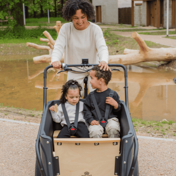Royal cargo bike rental 3-wheel rental